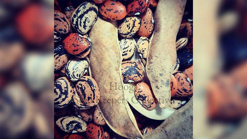 Images-14