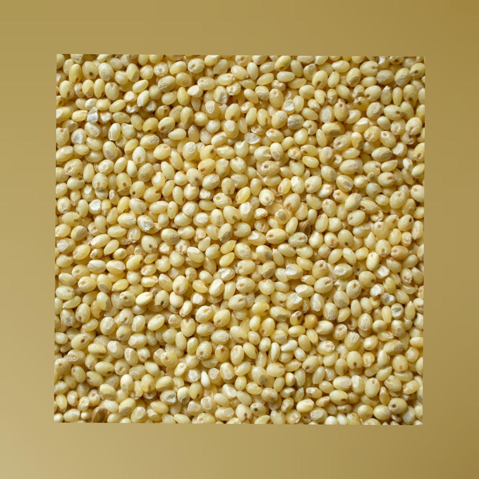 little millet