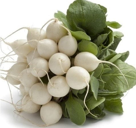 White Round Open Pollinated Radish Seeds