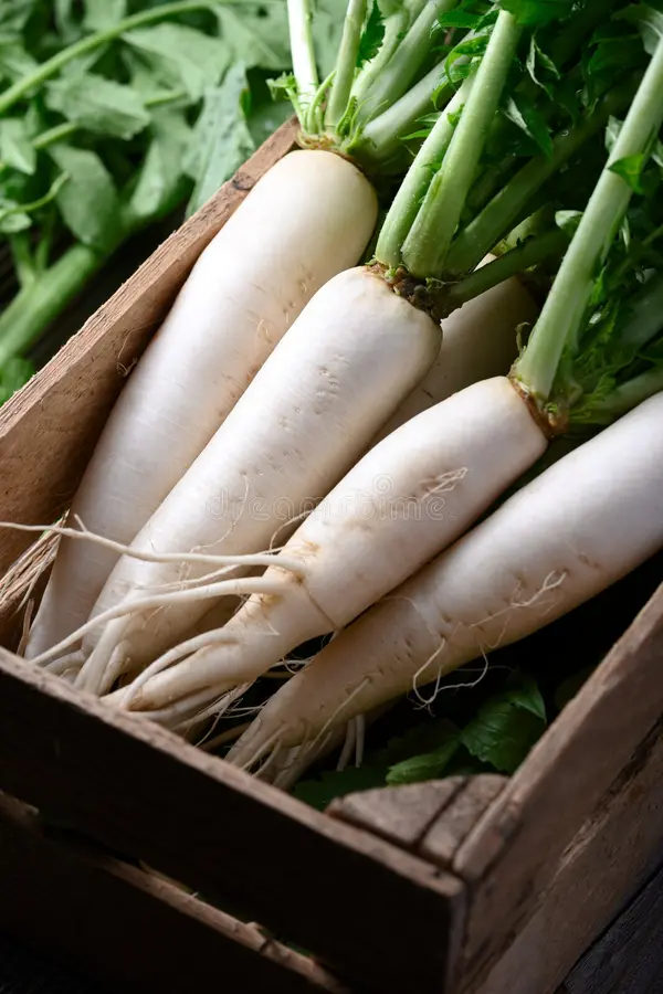 White Pusa Desi Radish seeds