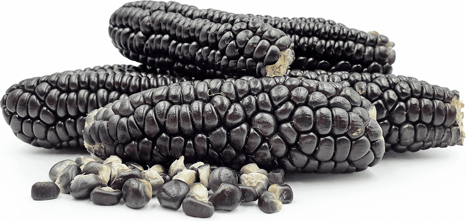 Indigenous Black Corn Seeds