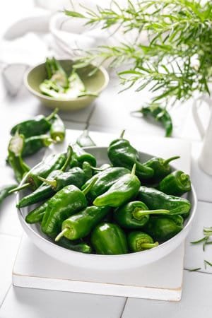 Green Round Chilli Gardening seeds