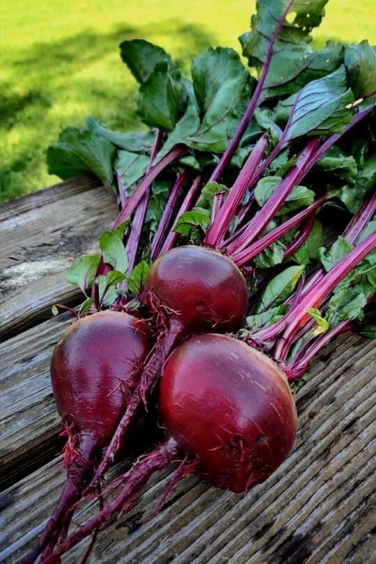 Open Pollinated Beetroot Ruby Queen Seeds