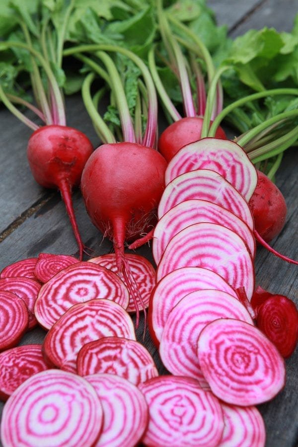 Heirloom Beetroot Candy Cane Seeds