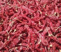 GI Tagged Byadgi Chilli Seeds - Image 2