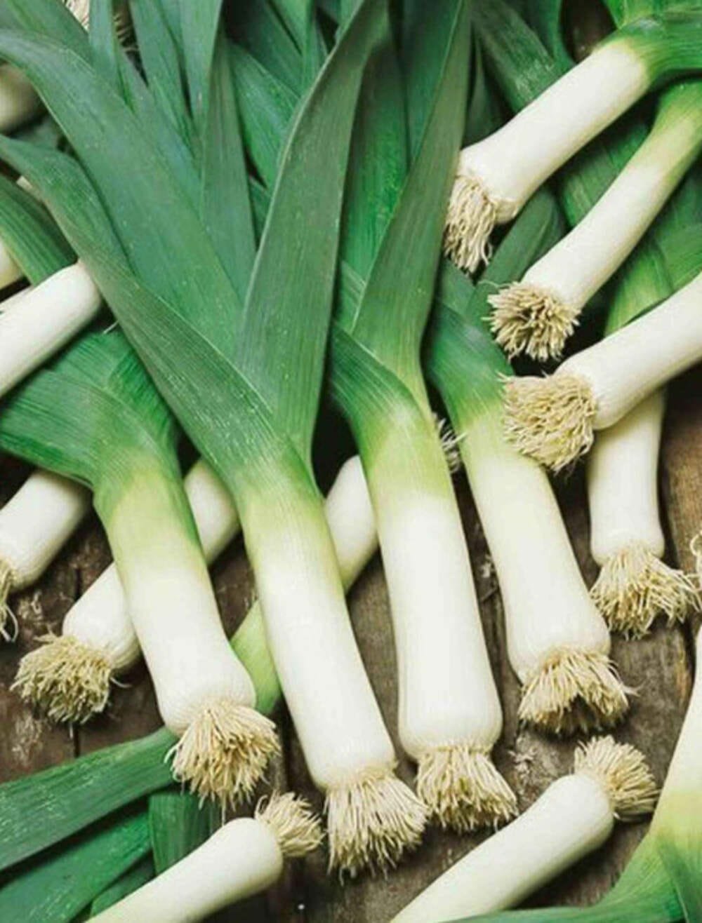 Heirloom Leek American flag Seeds
