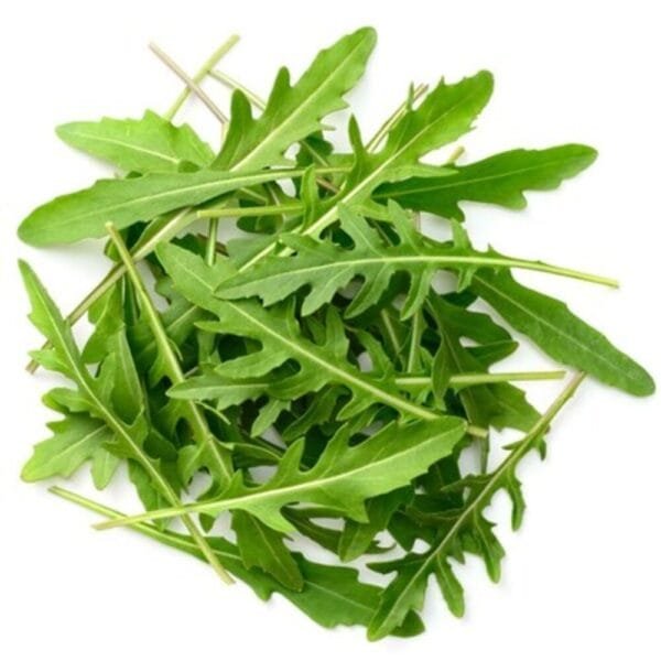Rocket Salad Indian Herb Gardening seeds