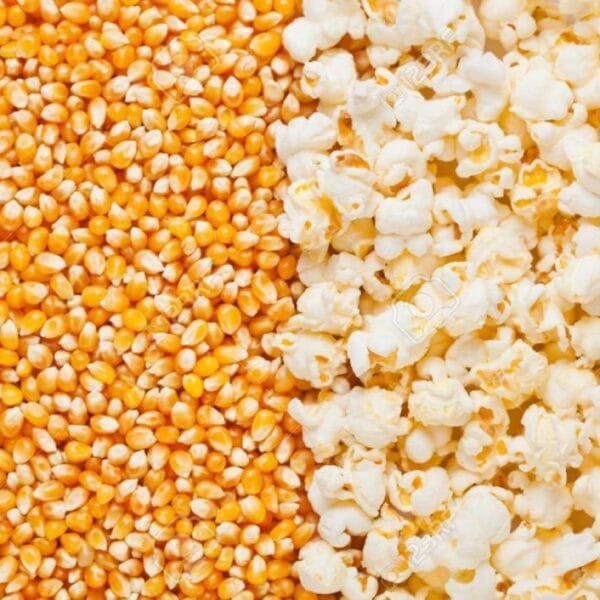 Native Popcorn Maize Seeds