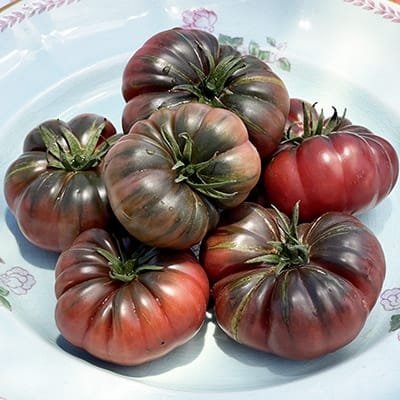 Anti-oxidant Rich Black Ribbed Tomato Seeds