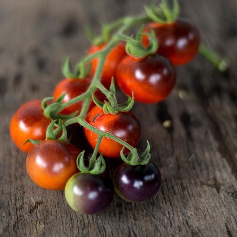 Heirloom Blue Berry Cherry Tomato Seeds - Image 2